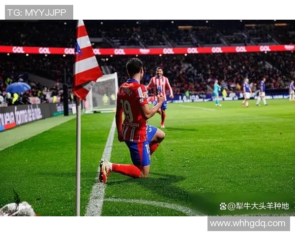 伯纳乌球场关闭翻修皇马欧冠主场迁至马竞主场进行比赛