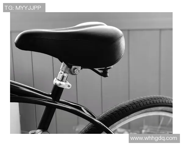 探索Java编程与自行车设计的完美结合打造智能骑行体验