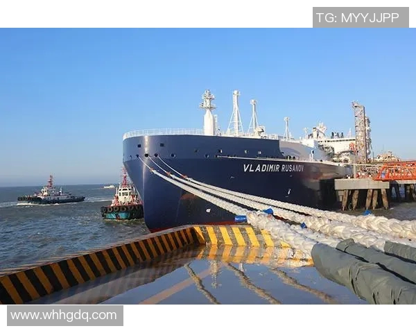 亚马尔地区的能源开发与国际合作前景分析与展望