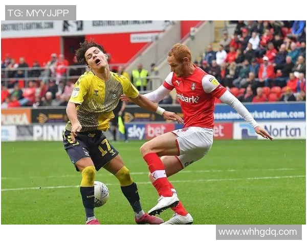 赫尔城主场迎战罗瑟汉姆力争三分冲击联赛前列位置