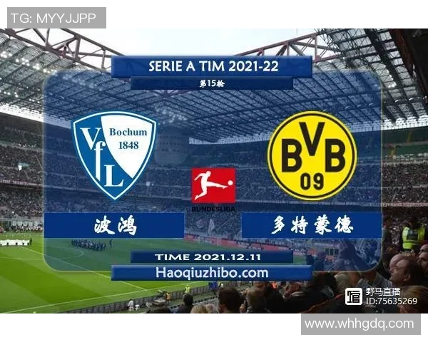 圣保利对阵波鸿精彩直播全程回顾与赛后分析尽在这里